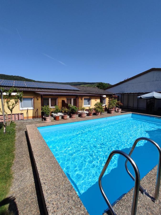 Moselferienweingut Schaefer Apartment Wintrich Exterior foto