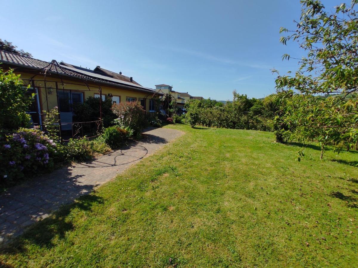 Moselferienweingut Schaefer Apartment Wintrich Exterior foto