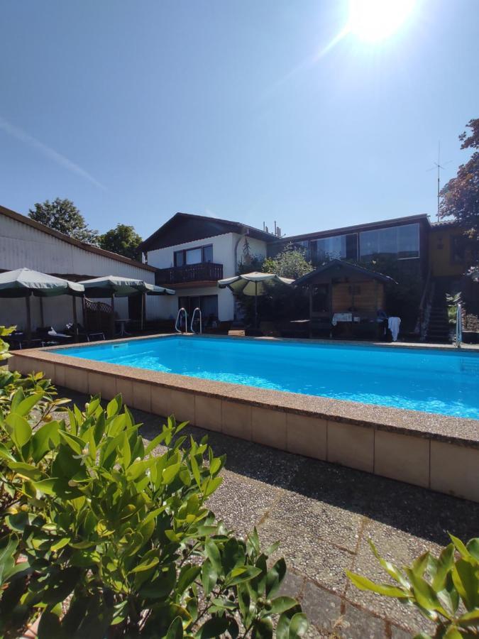 Moselferienweingut Schaefer Apartment Wintrich Exterior foto